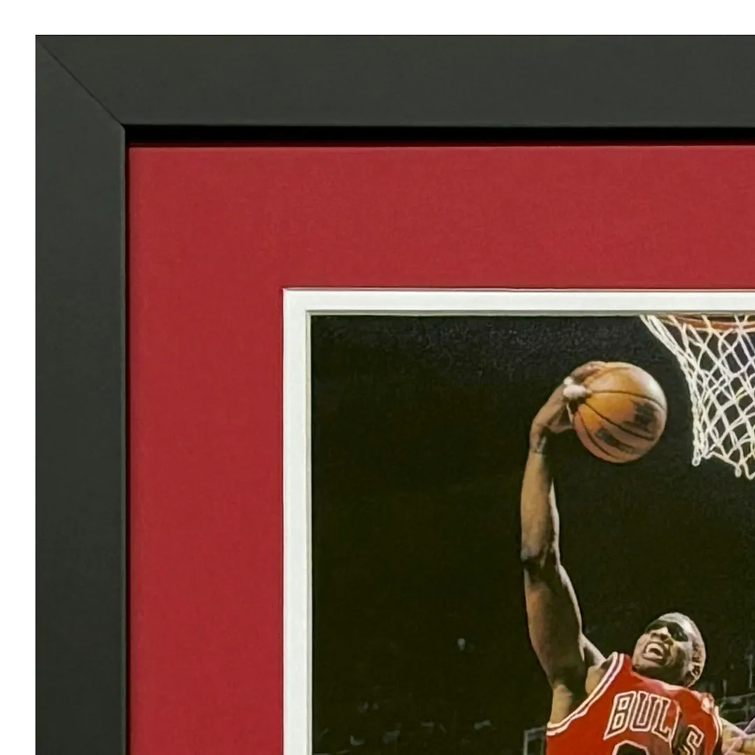 Dennis Rodman Signed Chicago Bulls Framed 11x14 Photo