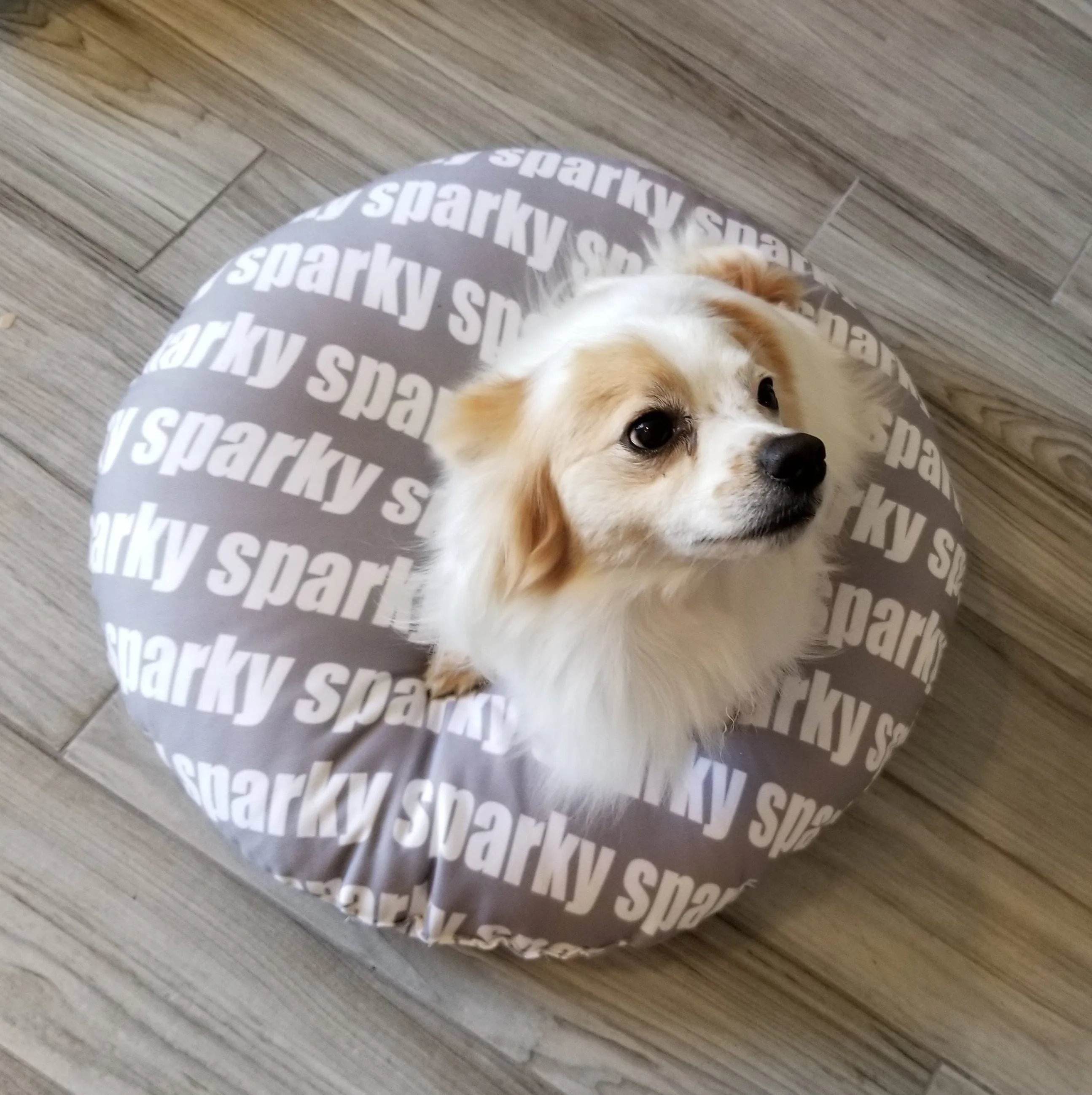 MODERN PERSONALIZED DOG / PET BED - BOLD FONT