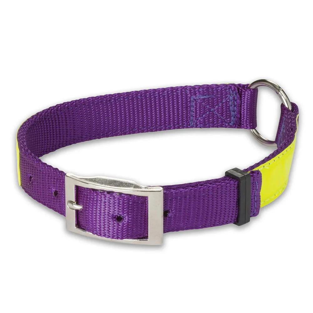 Nite Lite Reflexite Nylon 1" Ring-N-Center Reflective Dog Collar