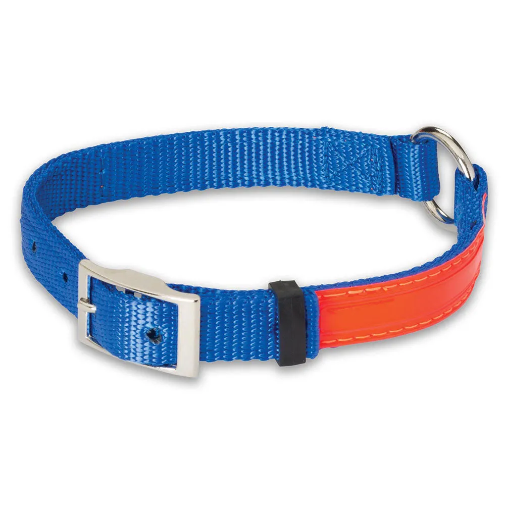 Nite Lite Reflexite Nylon 3/4" Ring-N-Center Reflective Dog Collar