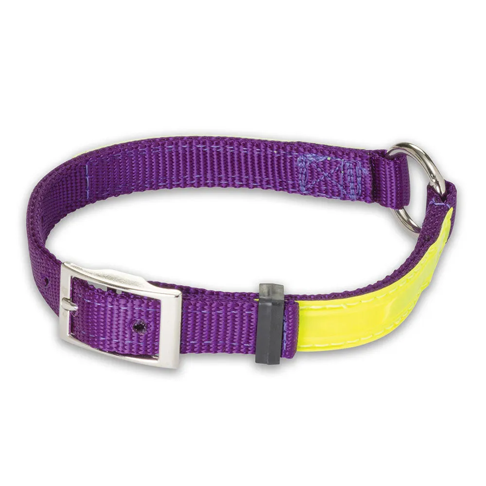 Nite Lite Reflexite Nylon 3/4" Ring-N-Center Reflective Dog Collar