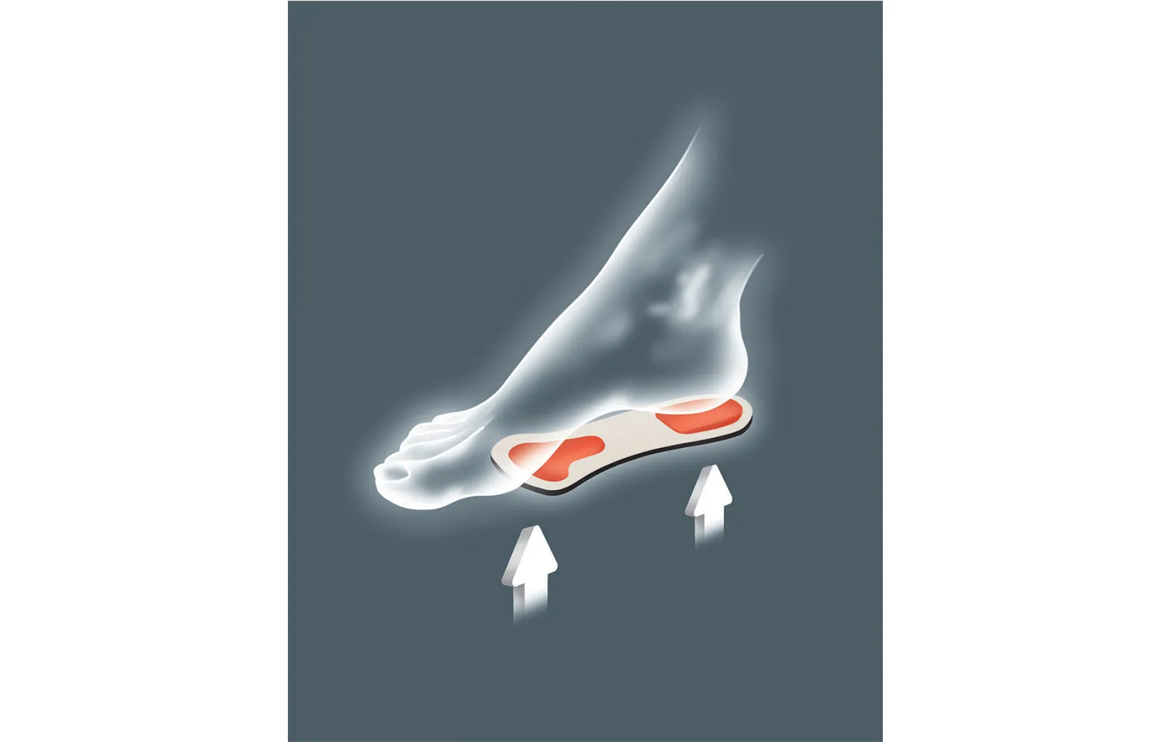 Pedag-Comfort | Metatarsal Arch Support Insole