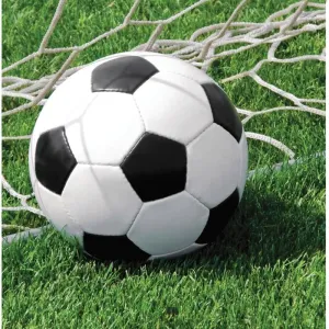 Sports Fanatics Soccer Lunch Napkins